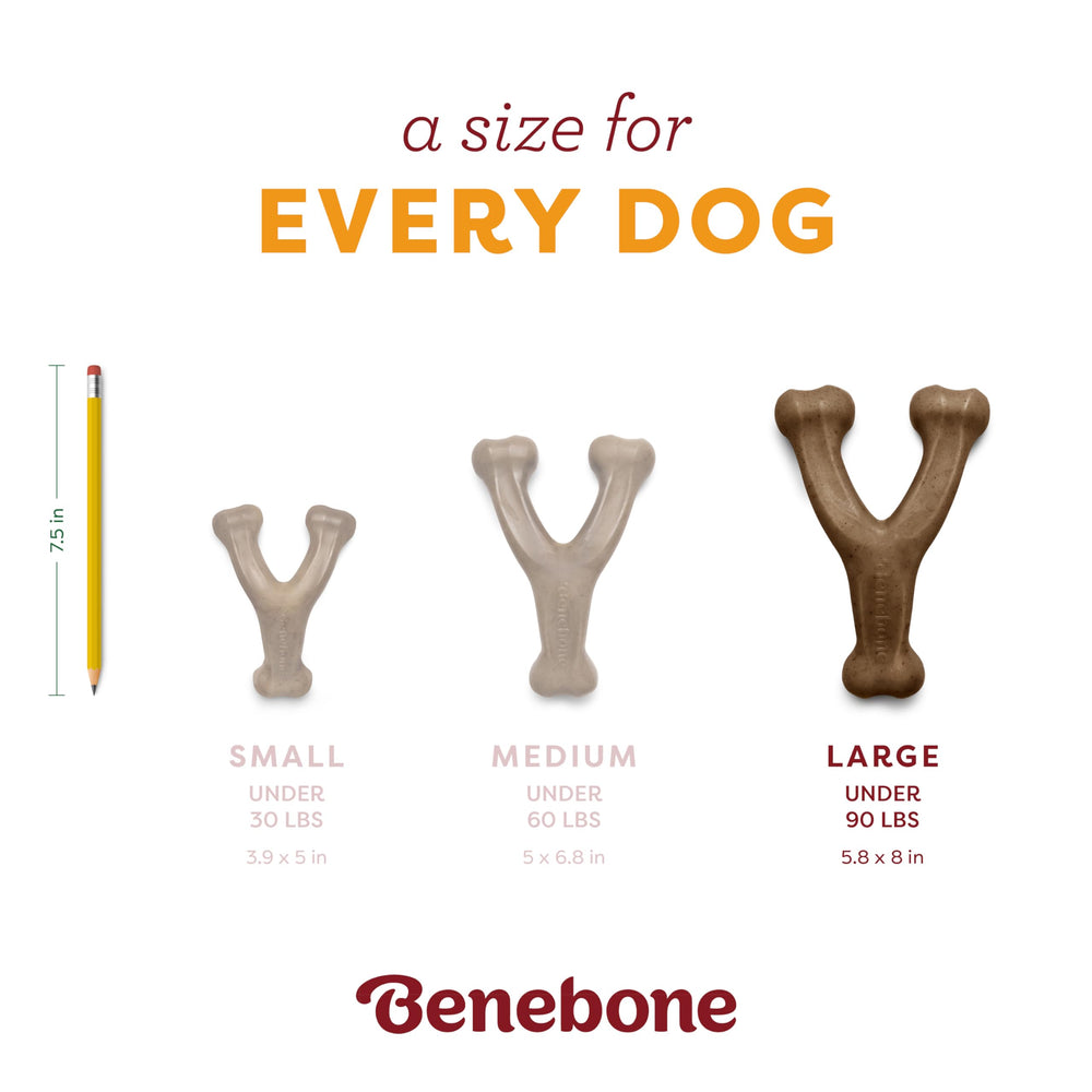 Benebone Pumpkin Spice, fabriqué aux États‑Unis, qualité et traçabilité.
