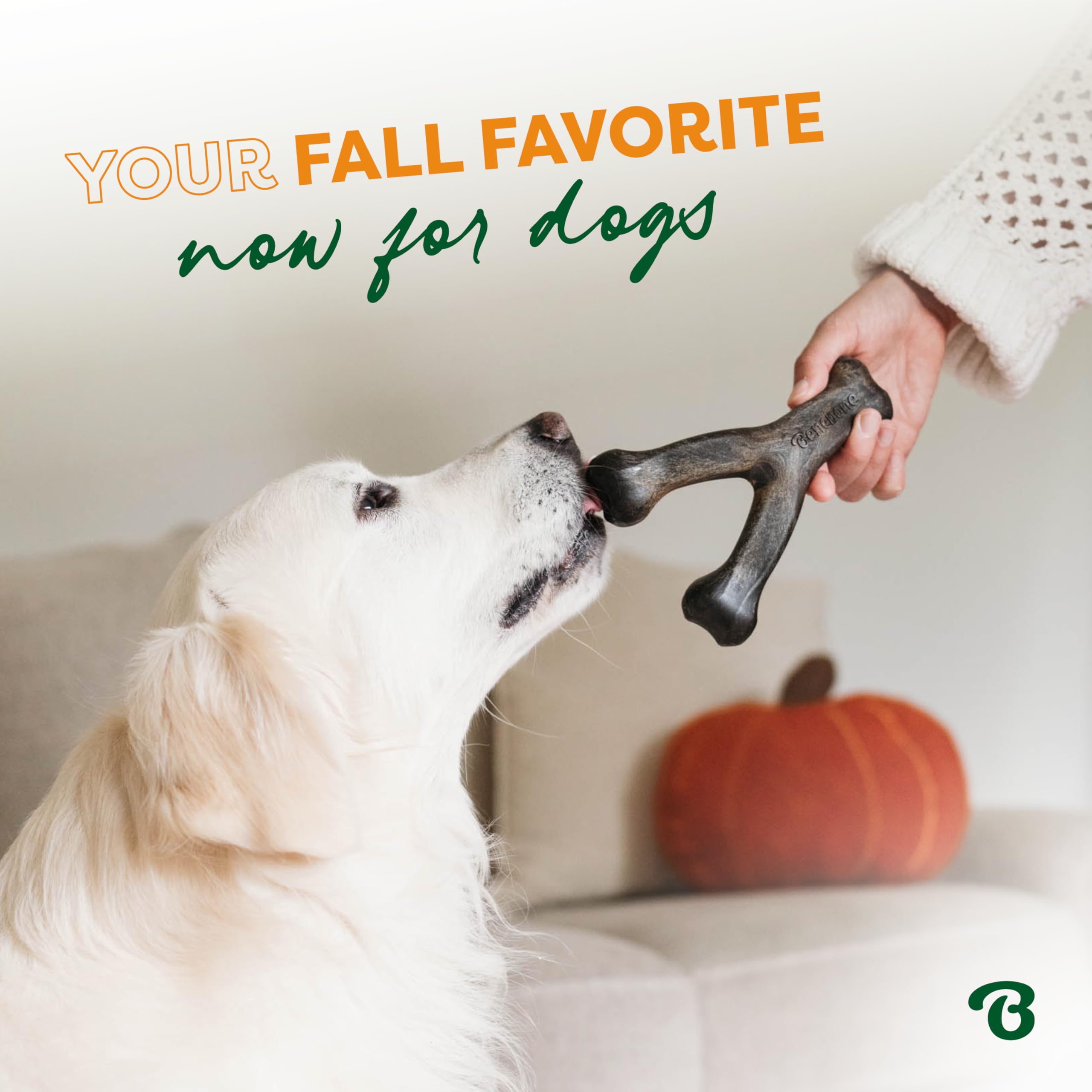 Benebone Pumpkin Spice, prise adaptée aux pattes pour mâcher.