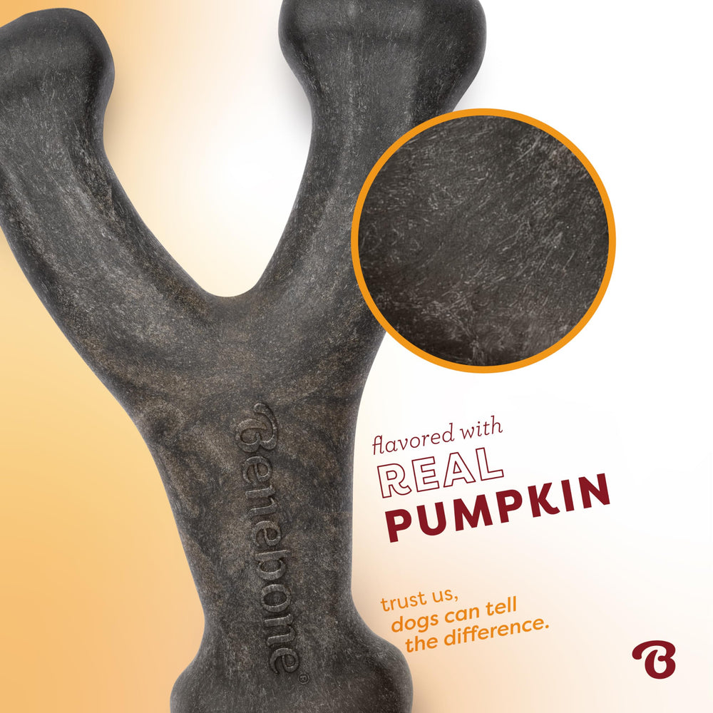 Benebone Pumpkin Spice, texture en crêtes pour gratter les dents.