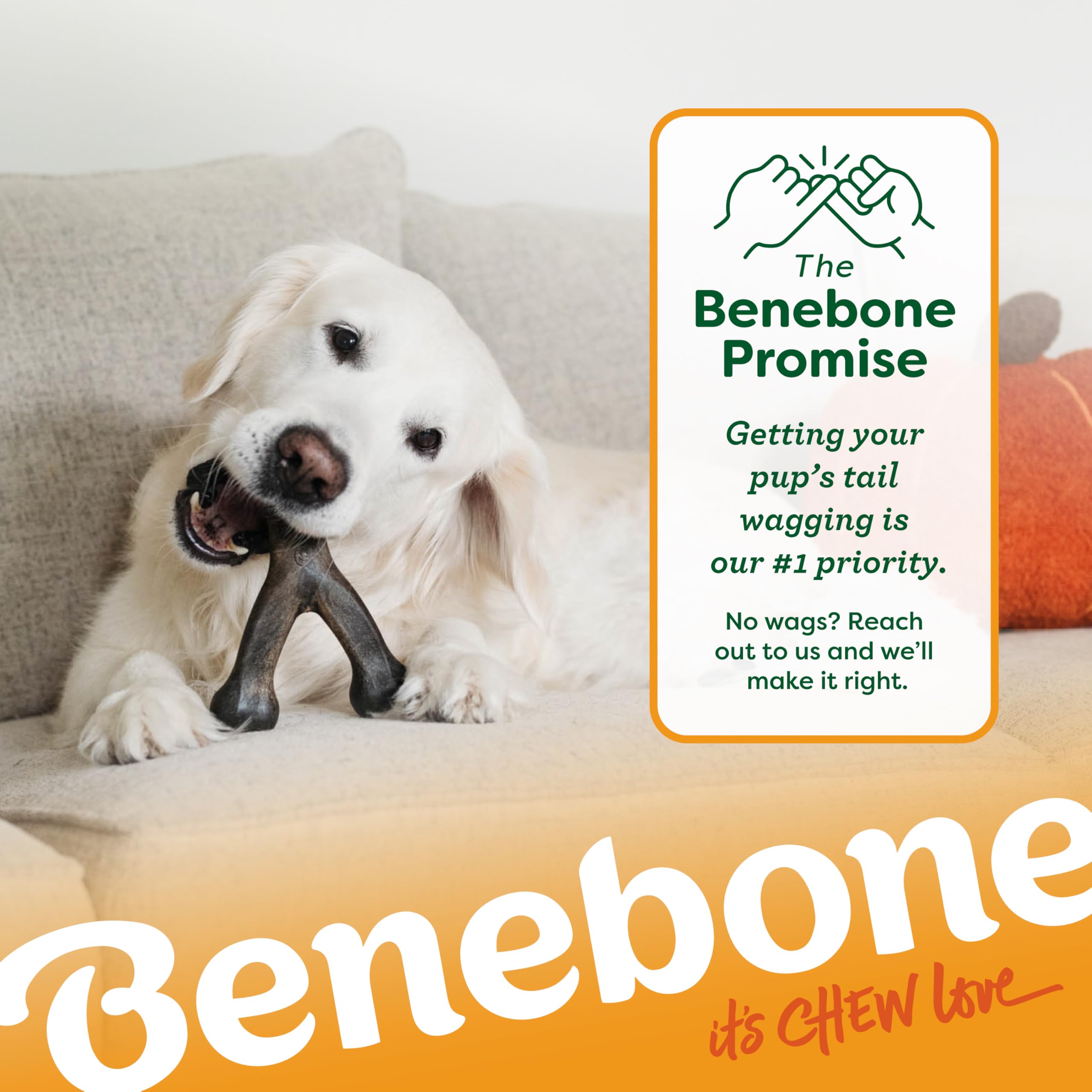 Benebone Pumpkin Spice, utilisation durable lors des moments seuls.