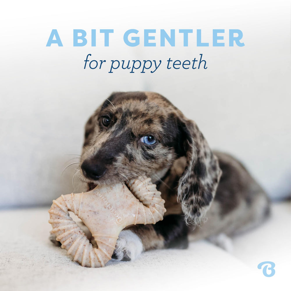 Benebone Puppy 2-Pack mastic-dentaire dents-douces, idéal pour chiots en dentition
