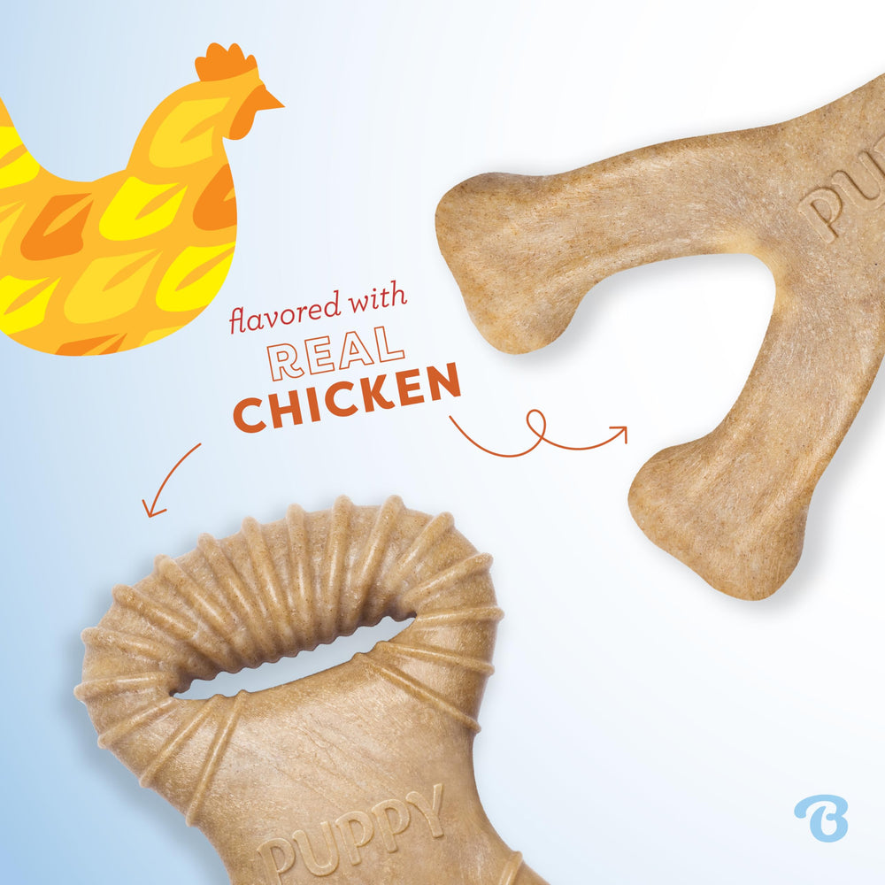 Benebone Puppy – texture rugueuse et goût poulet, favorise le grattage des gencives.