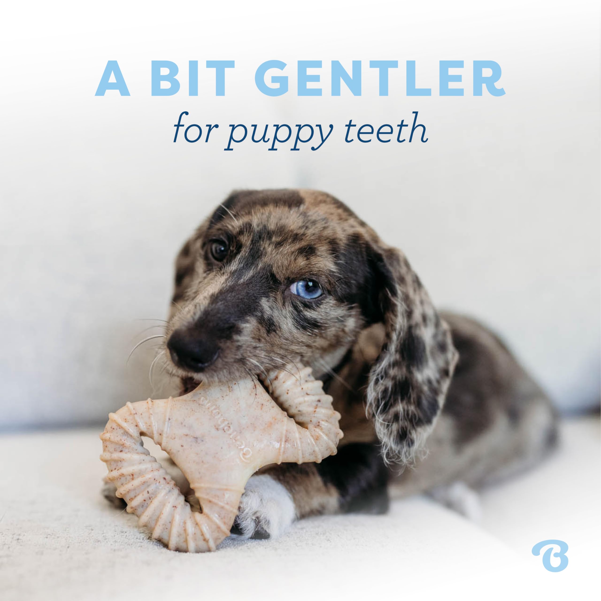 Benebone Puppy – design ergonomique, facile à saisir pour chiots actifs.