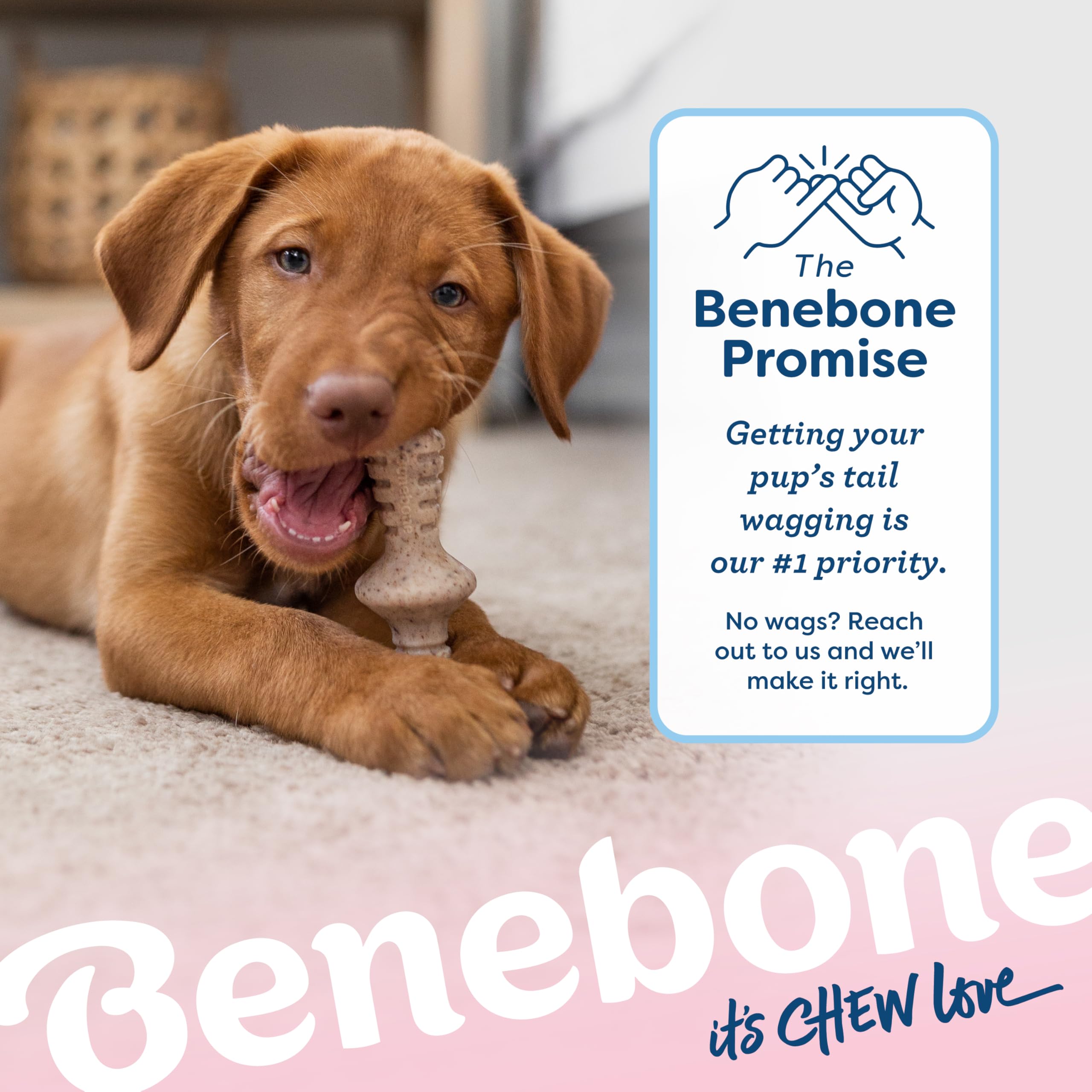 Benebone fabriqué aux Etats-Unis – jouet durable pour chiots.
