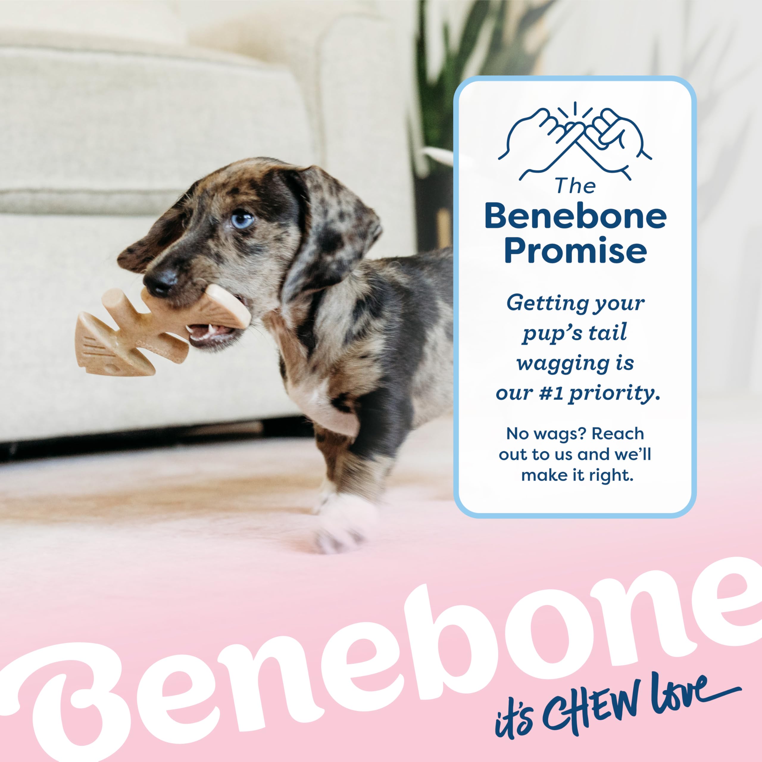 Benebone Os-poisson pour chiots, texture légère et sécurisée pour chiots en dentition.