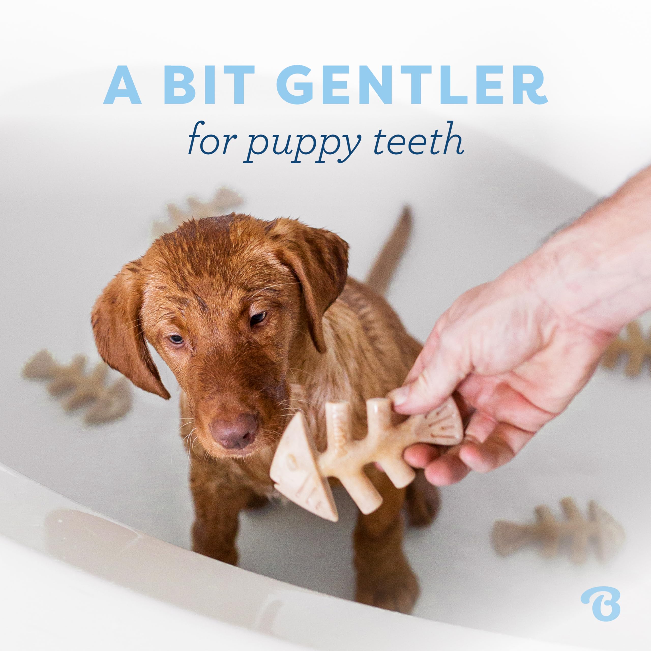 Benebone Os-poisson pour chiots, prise en main adaptée pour un mâchage contrôlé.