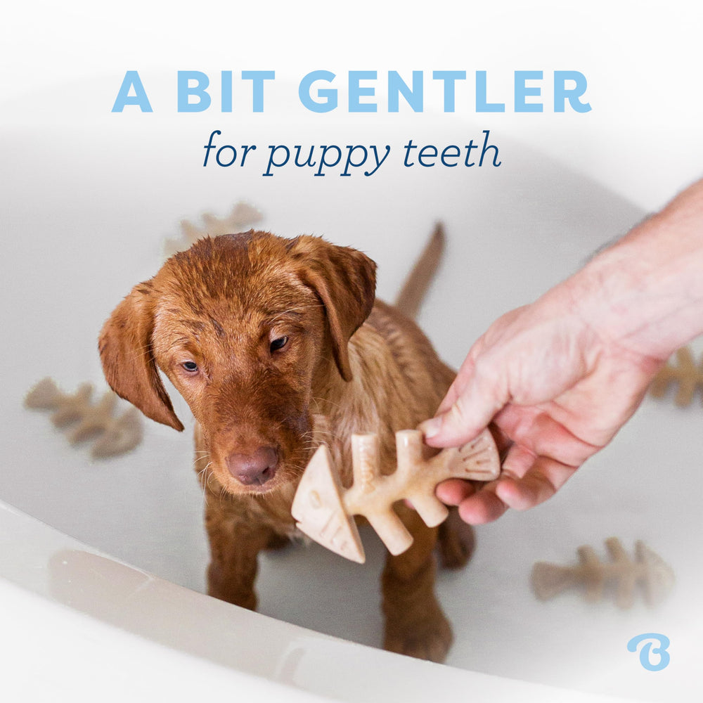 Benebone Os-poisson pour chiots, prise en main adaptée pour un mâchage contrôlé.