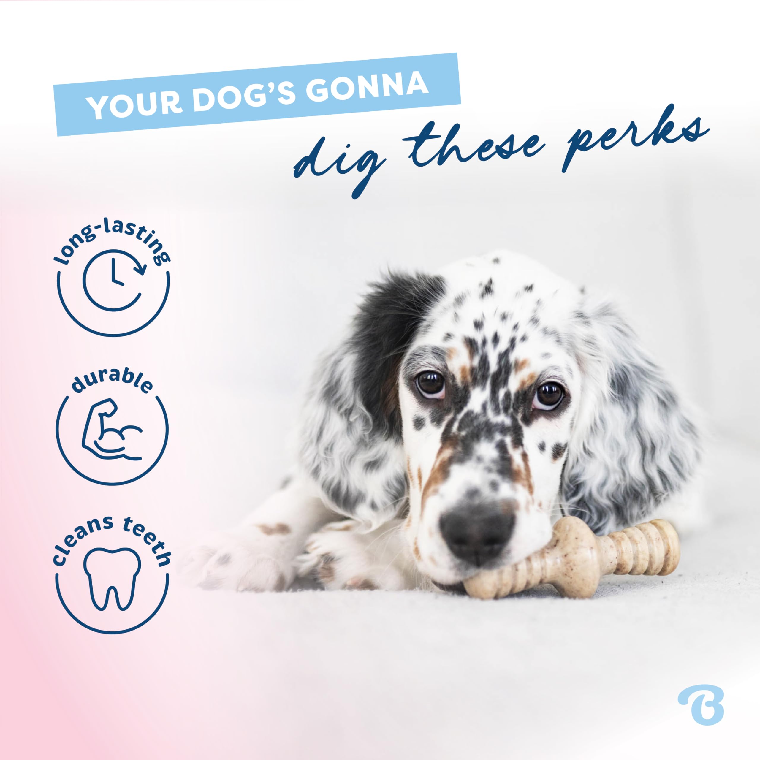 Benebone Puppy Maplestick – bois d'erable réel pour dents en développement.