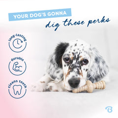 Benebone Puppy Maplestick – bois d'erable réel pour dents en développement.