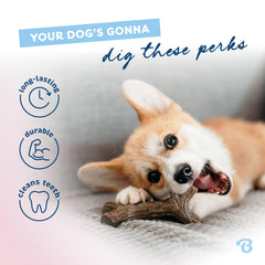 Benebone Puppy Maplestick – prise en main facile pour chiots en dentition.