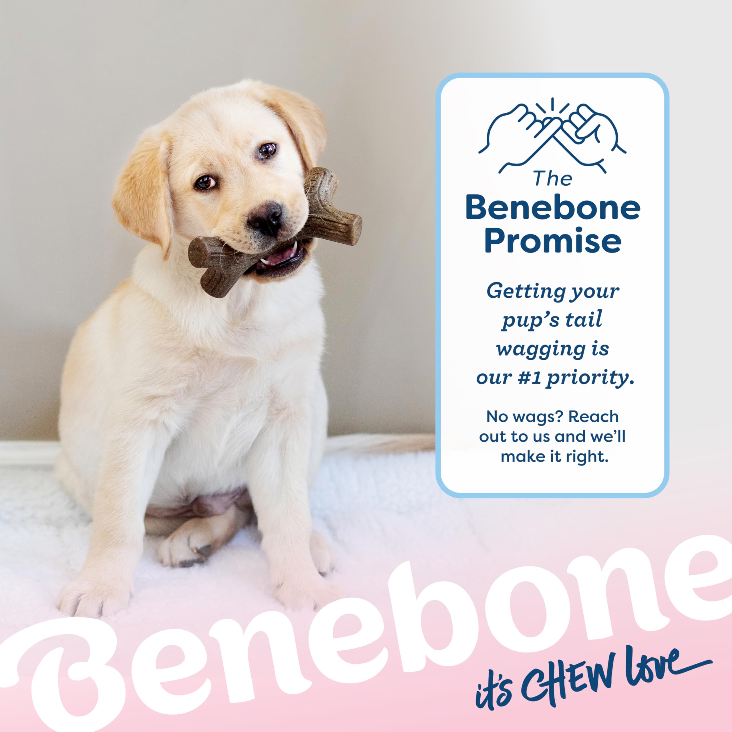Benebone Puppy Maplestick – surveillez l’usure et remplacez si nécessaire pour la sécurité.