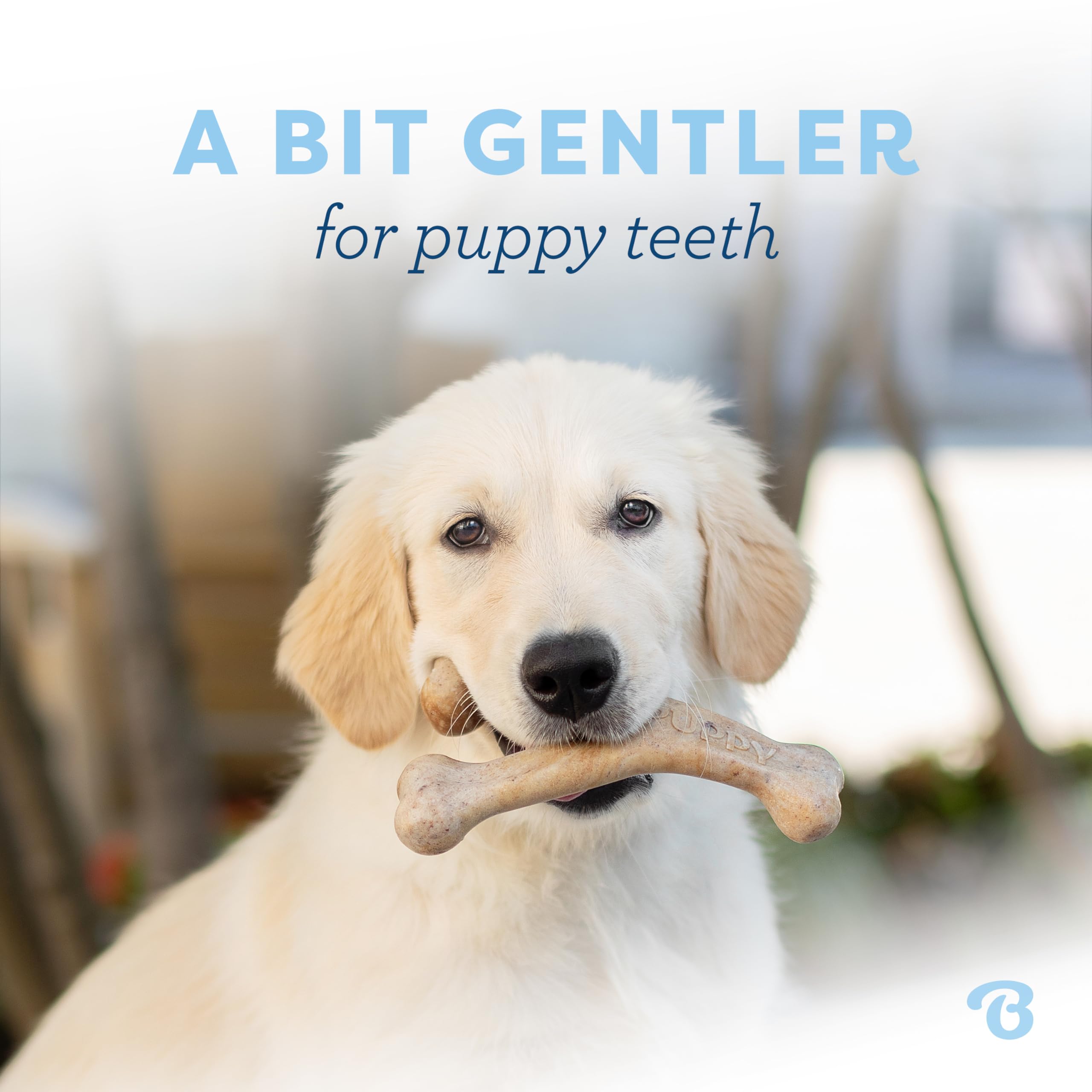 Benebone Puppy Wishbone: goût bacon réel, plus attrayant pour les chiots.