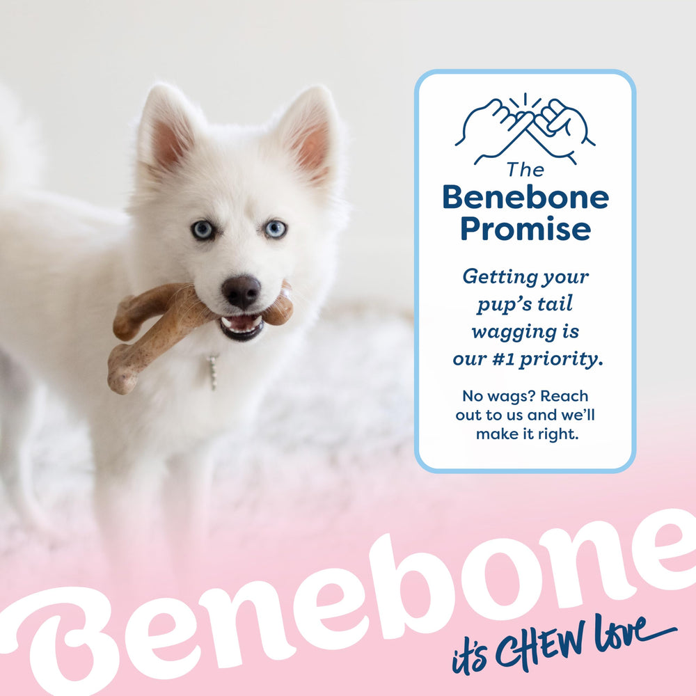 Benebone Puppy Wishbone: service client réactif pour une expérience sereine.