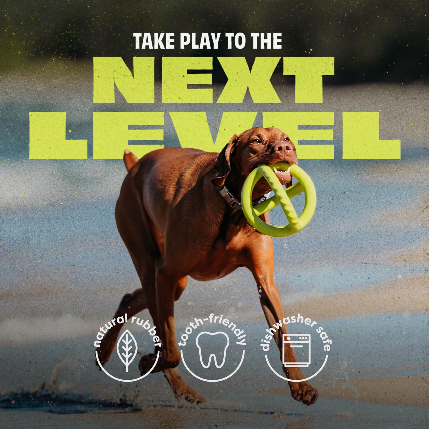 Benebone renforce le lien chien-proprietaire lors d’un jeu interactif.