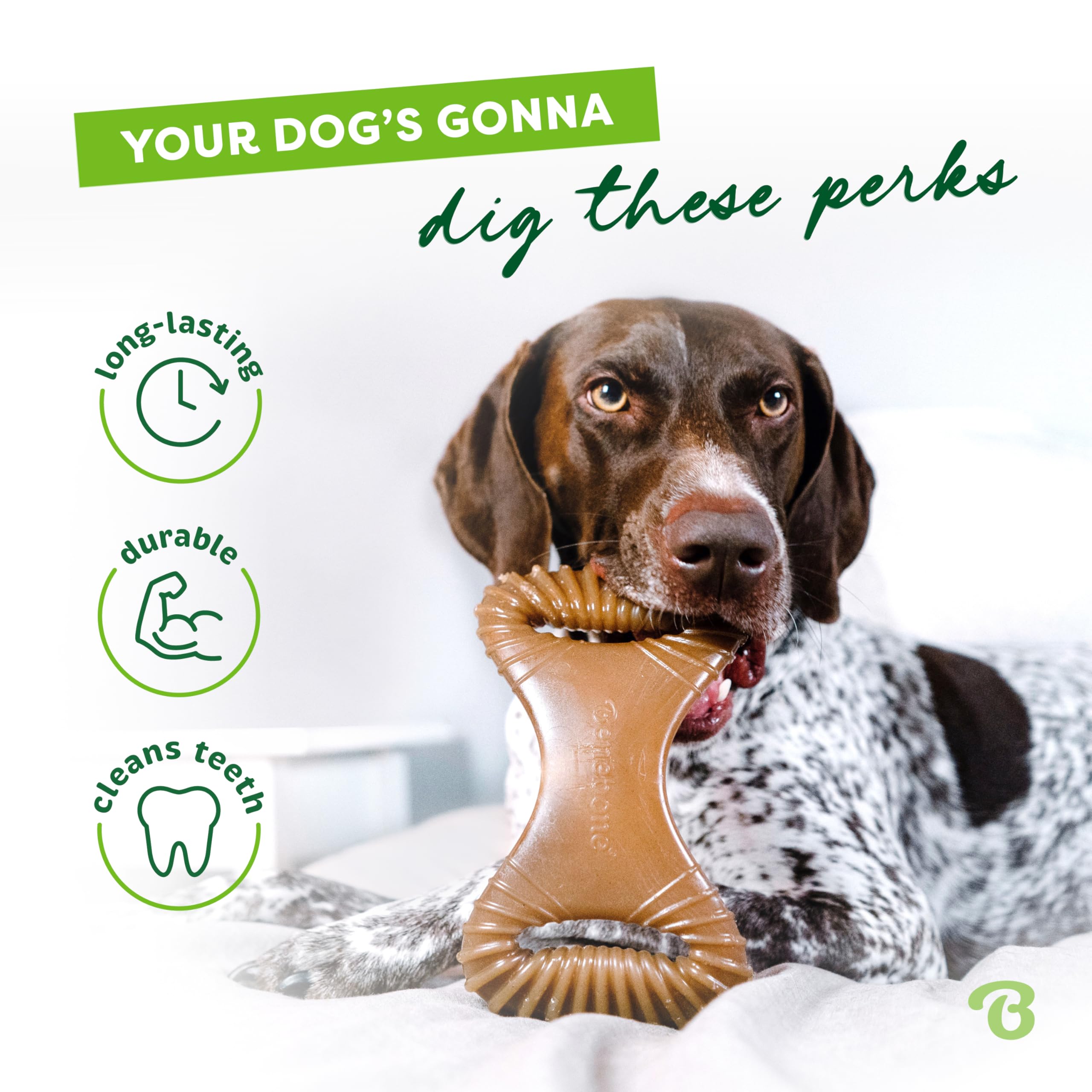 Benebone, saveur bacon authentique pour encourager le mâchage.