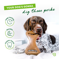Benebone, saveur bacon authentique pour encourager le mâchage.
