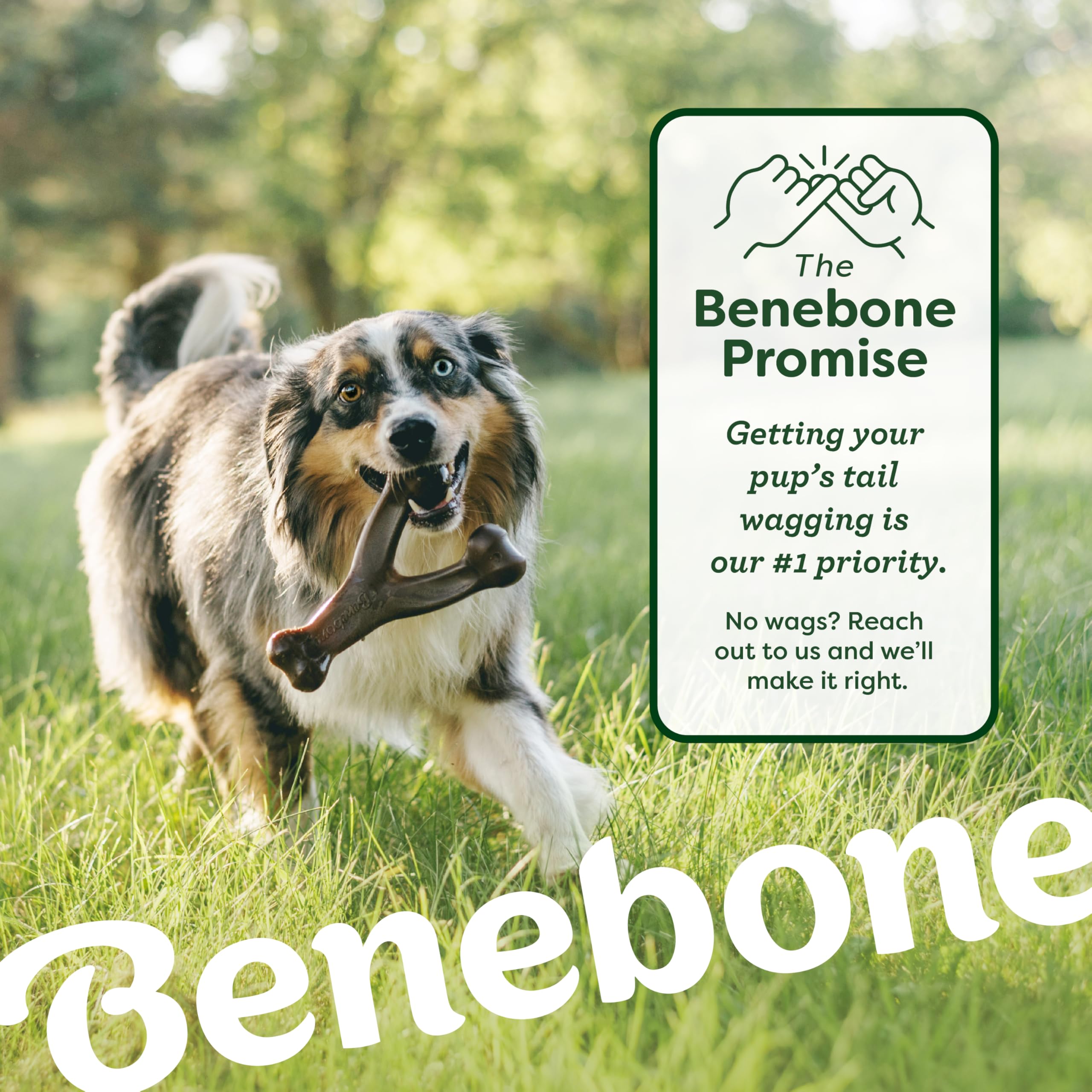 Service client Benebone: équipe dédiée prête à aider rapidement.