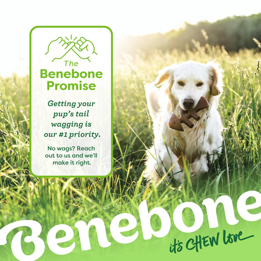 Benebone Tiny 2-Pack emballage etats-unis: info et origine du produit