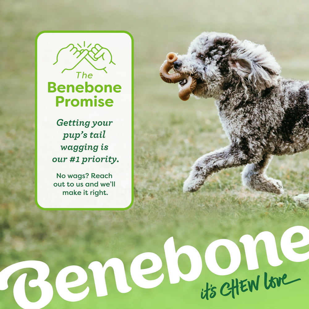 Benebone Tiny lot de 2 design-courbe offre prise en main naturelle.