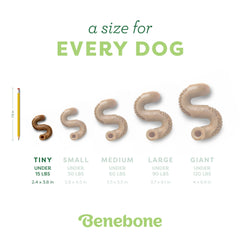 Benebone Tiny lot de 2 poches-remplissage pour friandise supplémentaire.