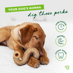 Benebone Tiny lot de 2 prise-mordillage facile pour chiens actifs.