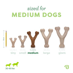 Benebone Wishbone fabriqué aux États‑Unis garantissant qualité et traçabilité.