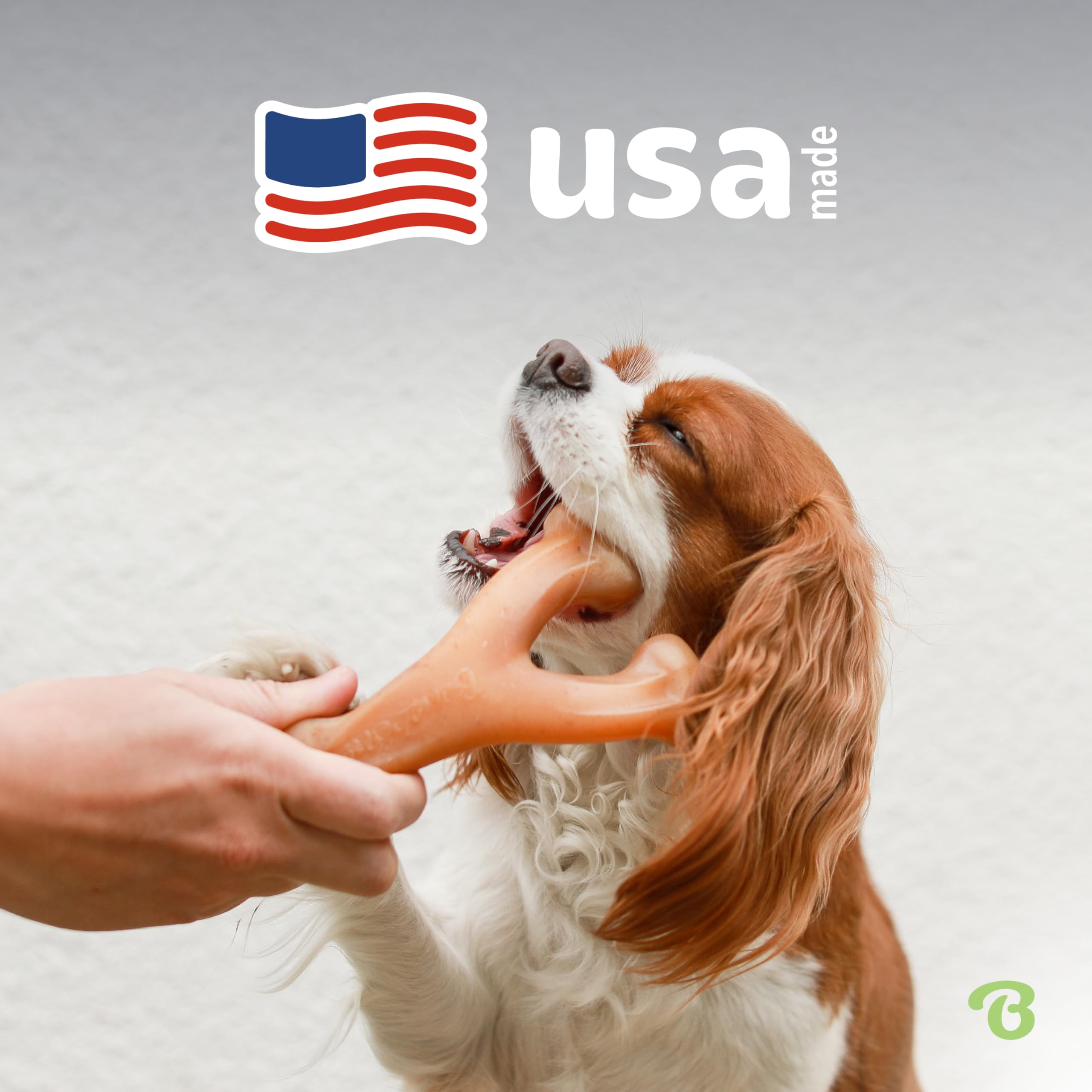 Version petite du Wishbone adaptée pour petits chiens.