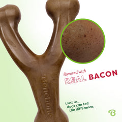Benebone Wishbone prise en main ergonomique facilitant la saisie par les pattes.