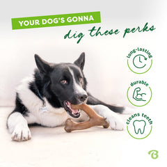 Benebone Wishbone – prise facilitée par une courbe adaptée à la patte.
