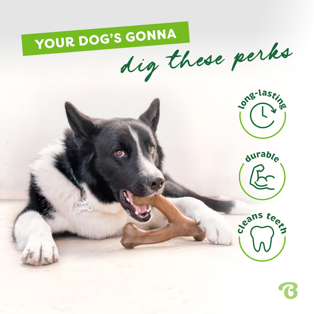 Benebone Wishbone prise patte facilitée, mordant confortable et efficace.