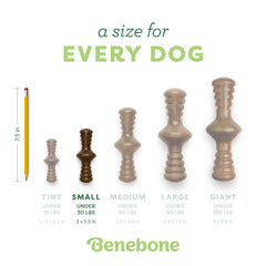 Benebone Zaggler fabriqué aux États-Unis, qualité locale pour une utilisation sûre.