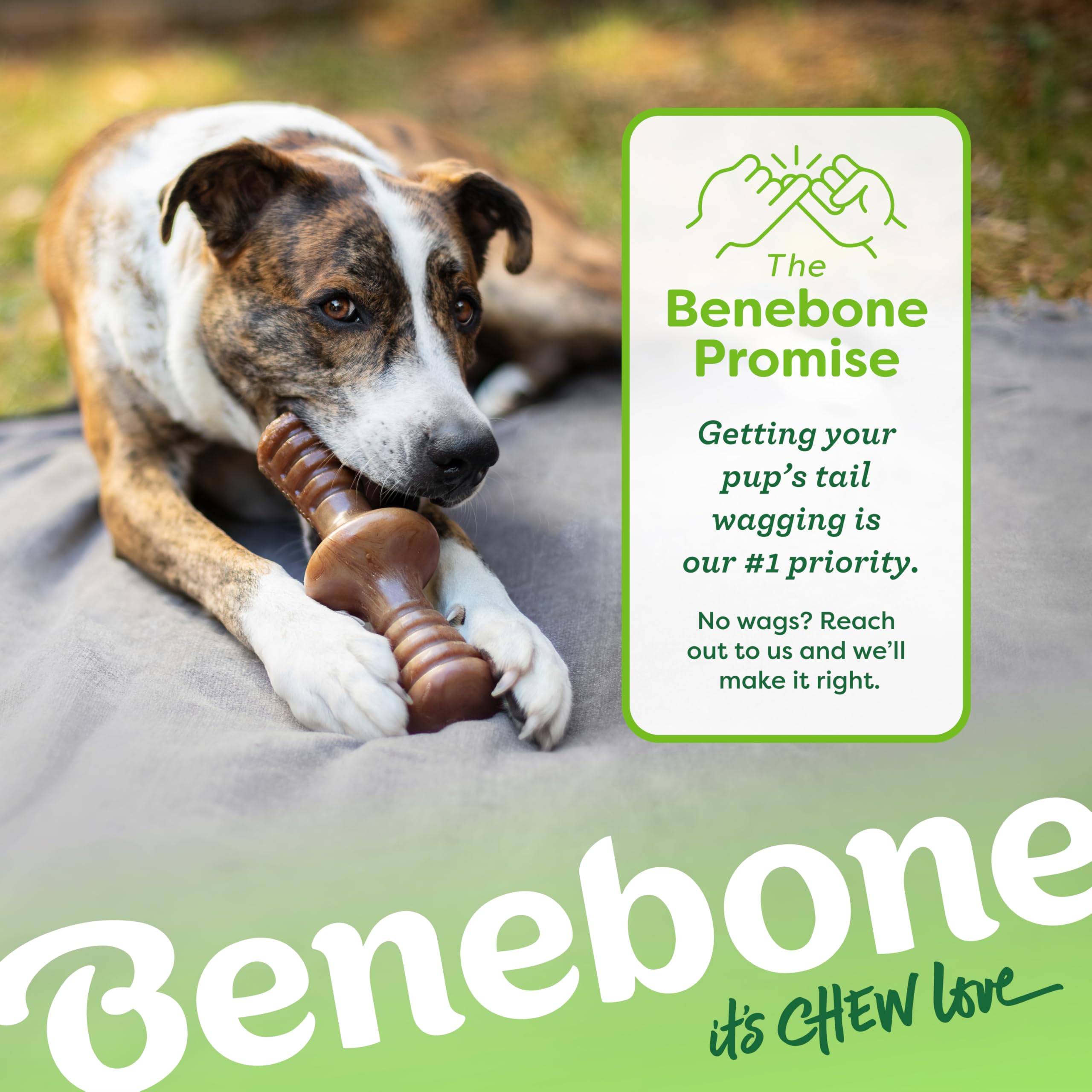 Benebone Zaggler satisfaction garantie, contact direct en cas de souci.