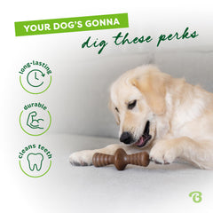 Benebone Zaggler, saveur bacon réel pour l'appétit canin.