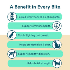 Benefit Biscuits sceau vegan certifié pour le bien-être des chiens.