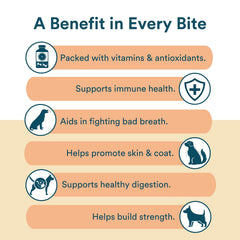 Biscuits Benefit au cacahuète pour chien, riches protéines et énergie naturelle.