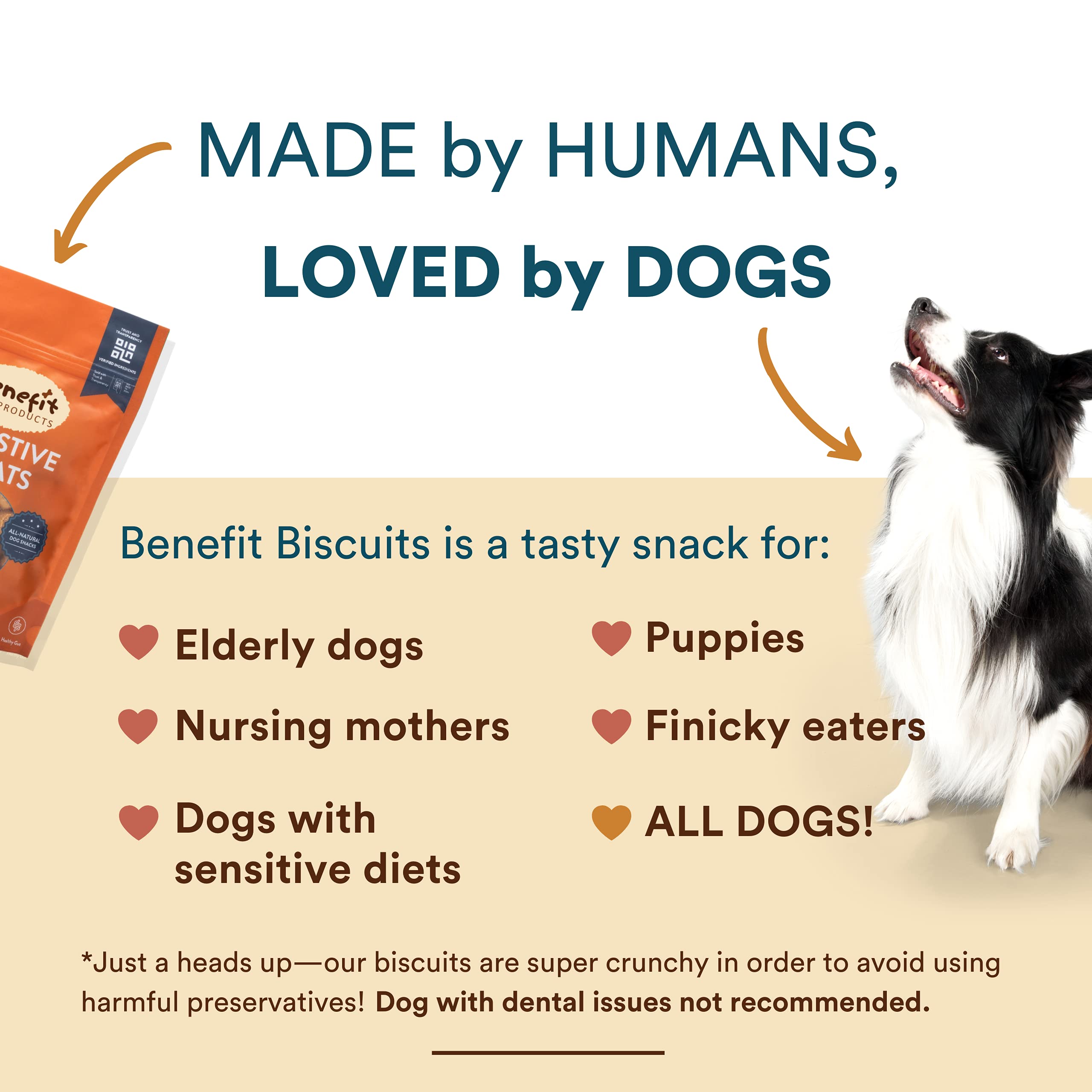 Biscuit Benefit vegan certifié pour chien, friandise éthique et naturelle.