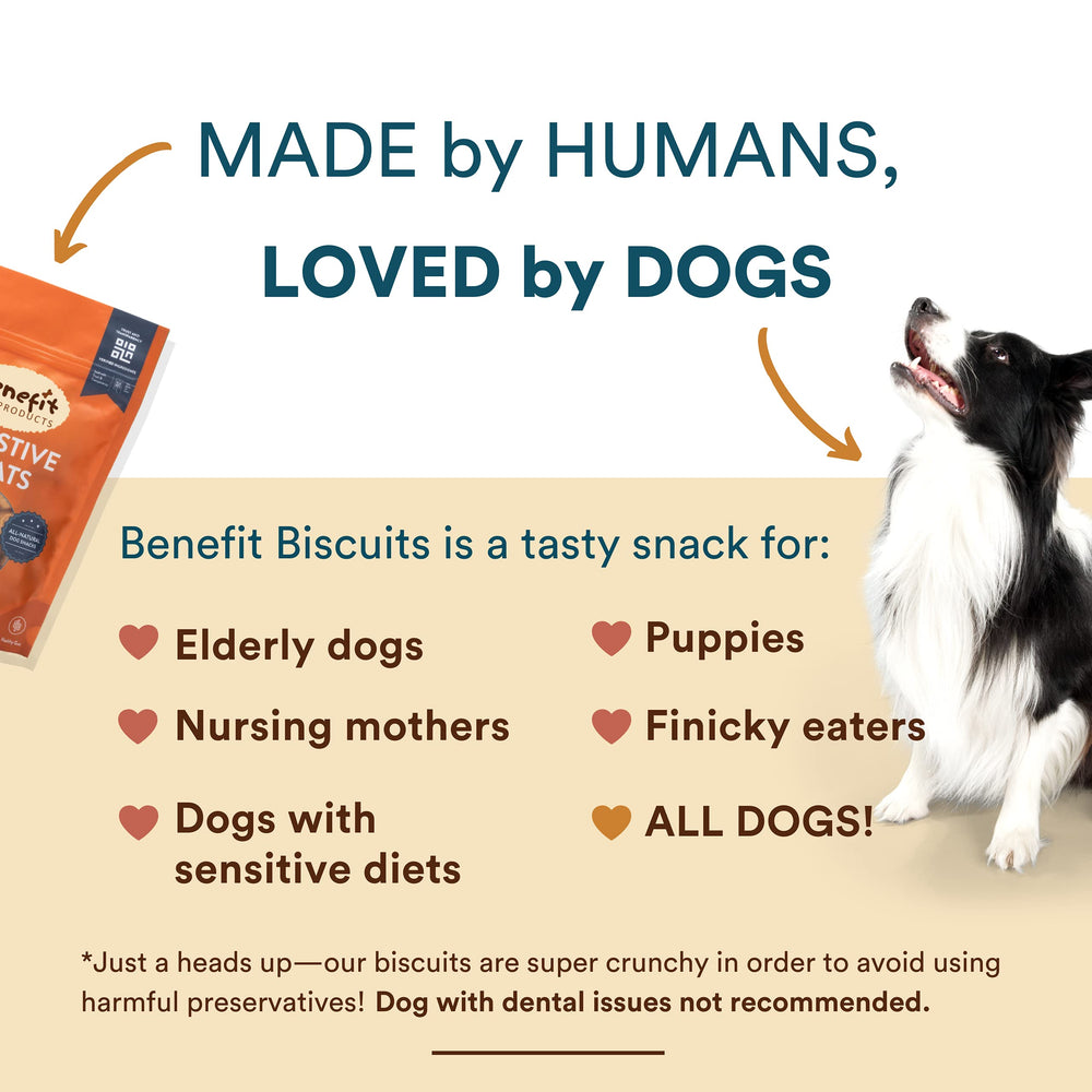 Biscuit Benefit vegan certifié pour chien, friandise éthique et naturelle.