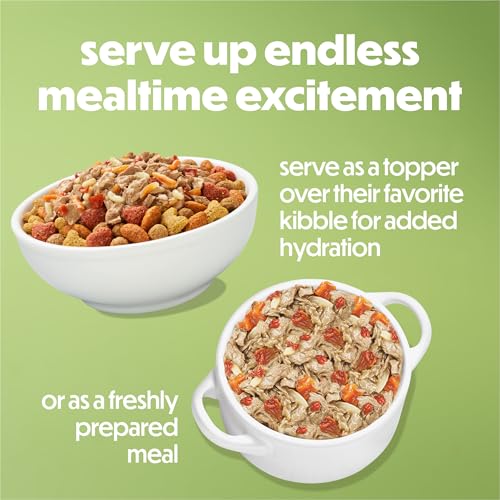 Service quotidien simple prêt à être servi avec des bouchées appétissantes.
