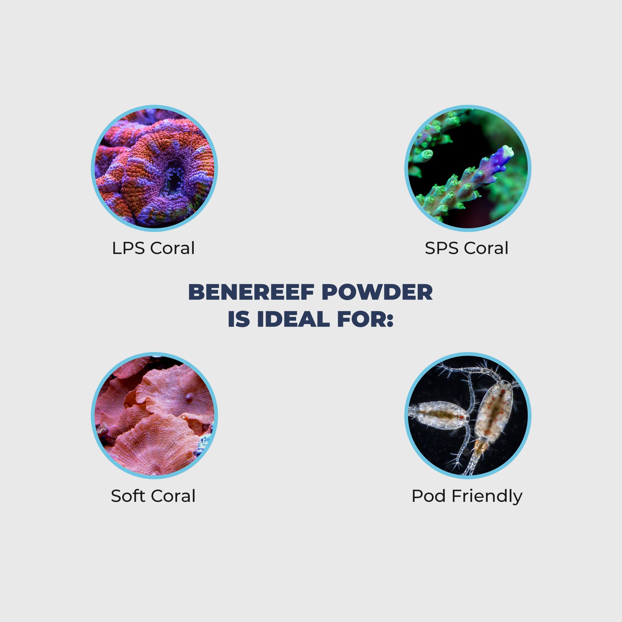 Benepets Benereef – coloration des coraux vibrante grâce à la nutrition ciblée.