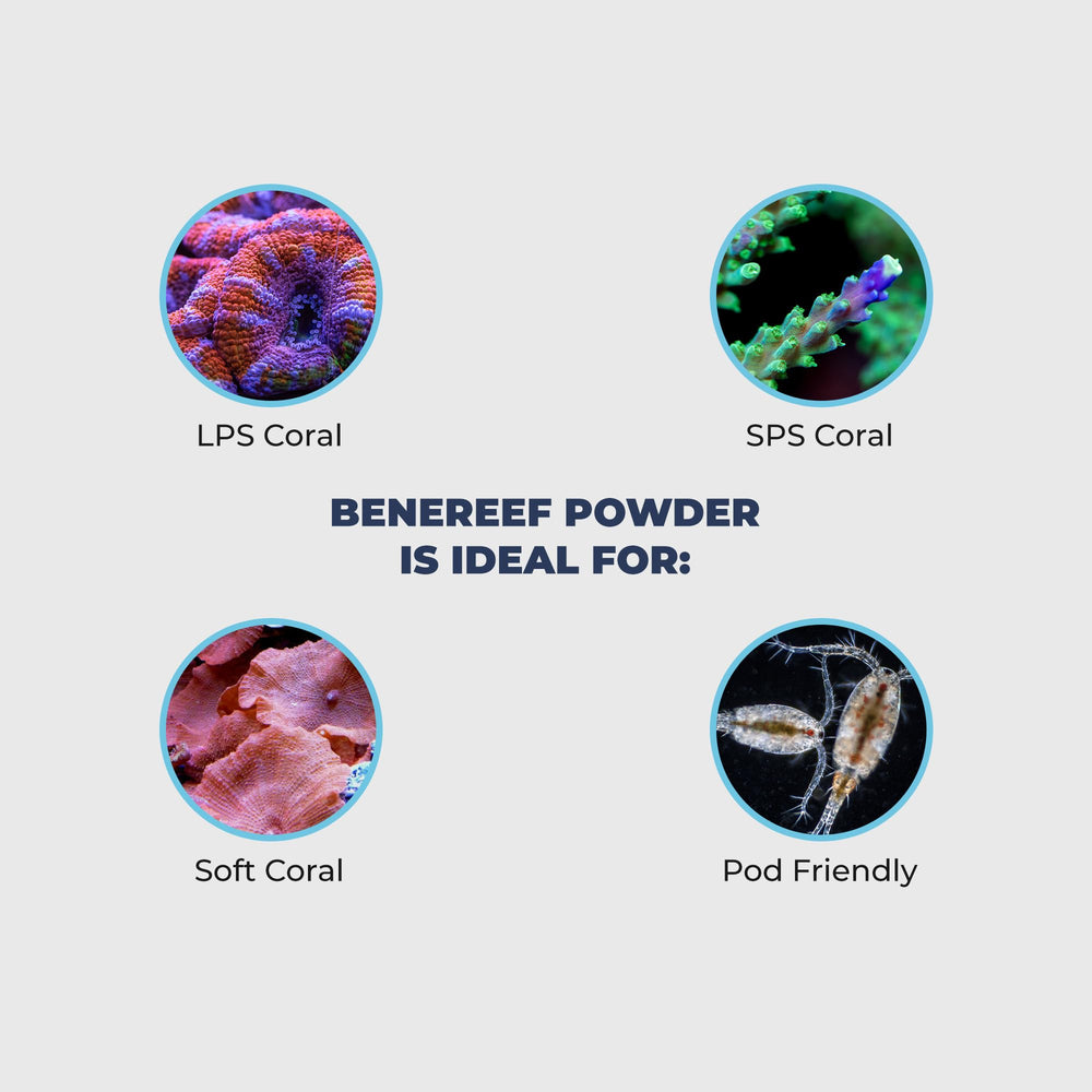Benepets Benereef – coloration des coraux vibrante grâce à la nutrition ciblée.
