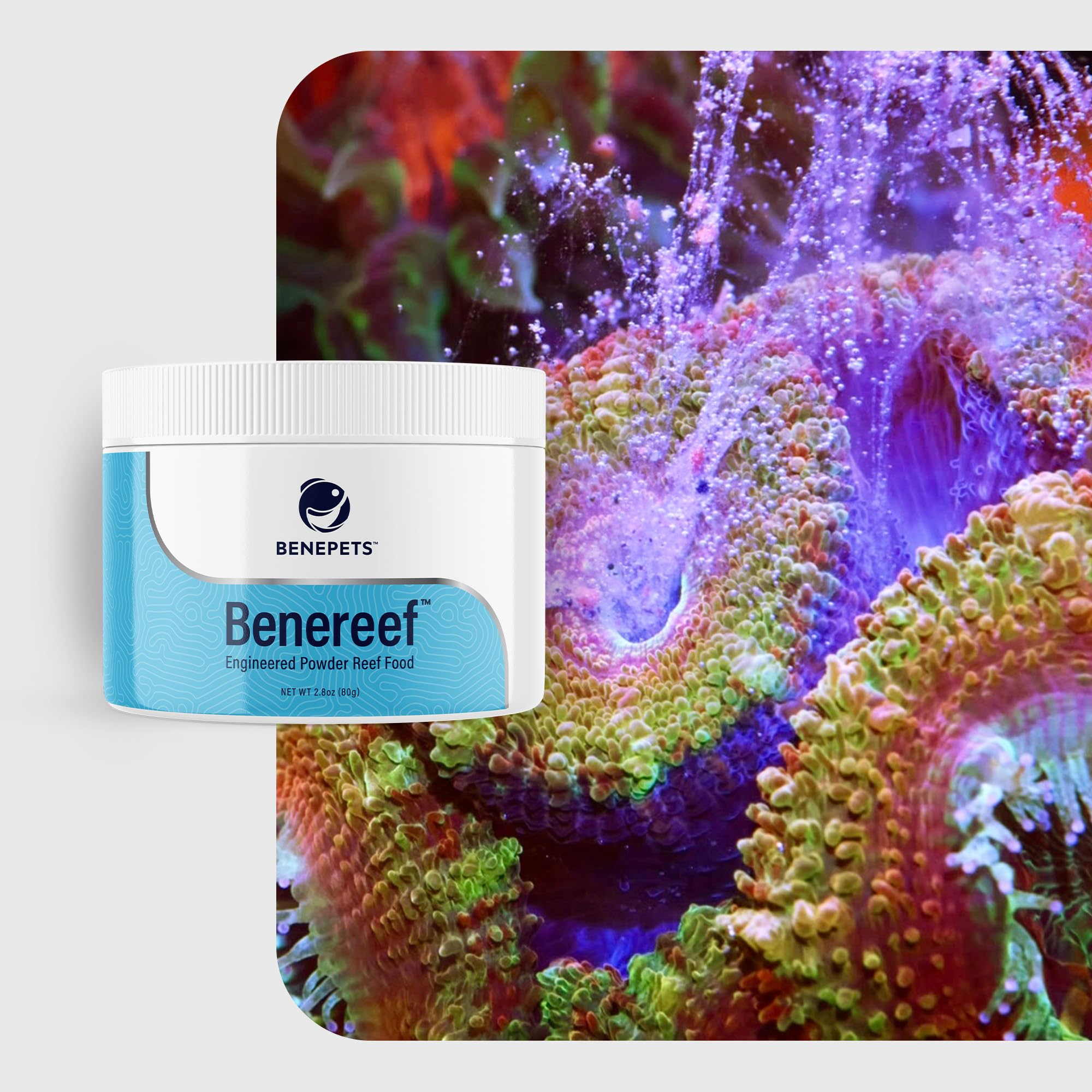 Benepets Benereef – particules 3-3000 microns adaptées à tous les habitants.
