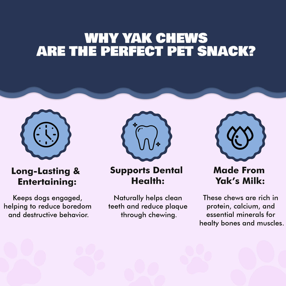 Benji & Louie Yak Chews myrtille moyen – soutien potentiel à l'hygiène dentaire.