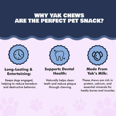 Benji & Louie Yak Chews myrtille moyen – soutien potentiel à l'hygiène dentaire.