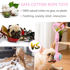 BENSEAO jouet crissant pour chiots, stimule la curiosité et l'interaction.