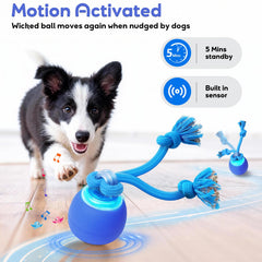 BENTOPAL balle avec 3 modes adapté pour divers sols