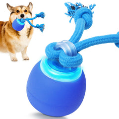 BENTOPAL balle interactive pour petit chien bleu stimule l’instinct de chasse