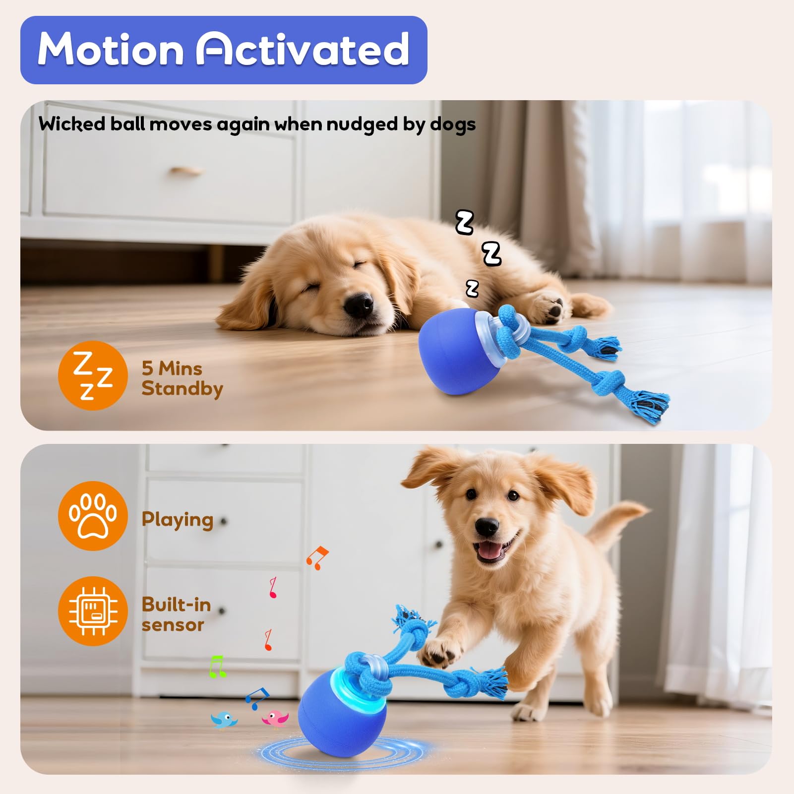 Ballon Bentopal en mouvement, mouvement imprévisible pour distraire le chien.