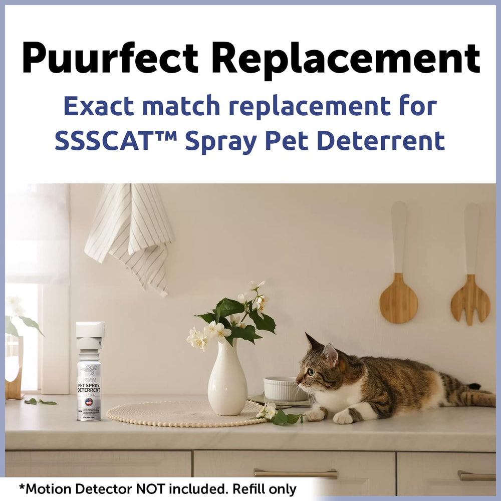Buse de spray Berkland SSSCat, pulvérisation précise pour zones à risque.