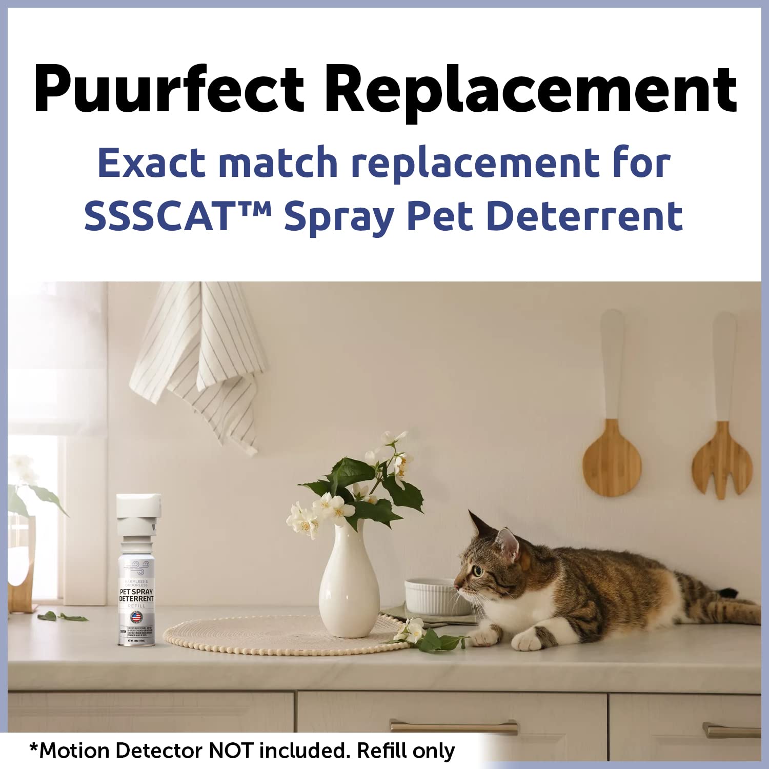 Recharge Berkland SSSCat – sans VOC, sûre pour famille et animaux.