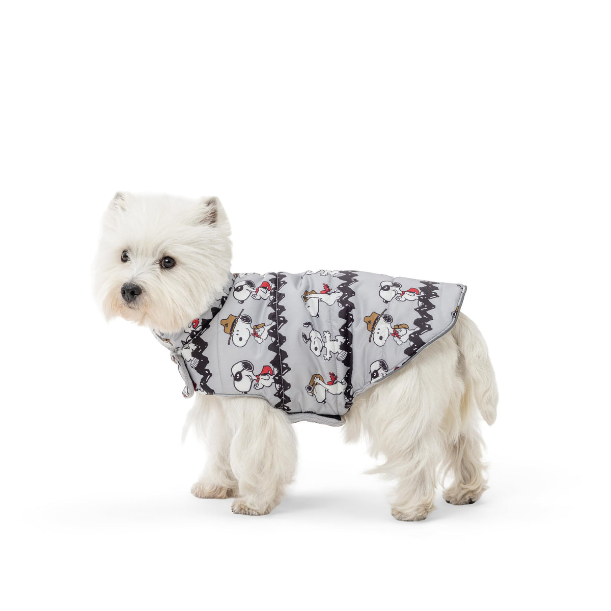 Veste Berkshire Blanket pour chien avec motif Peanuts, parfait pour les sorties fraîches.